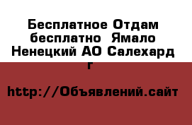 Бесплатное Отдам бесплатно. Ямало-Ненецкий АО,Салехард г.